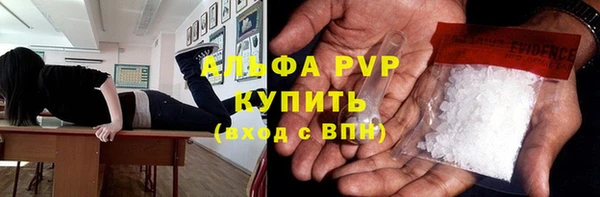 стаф Покачи
