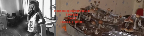 тгк Беломорск