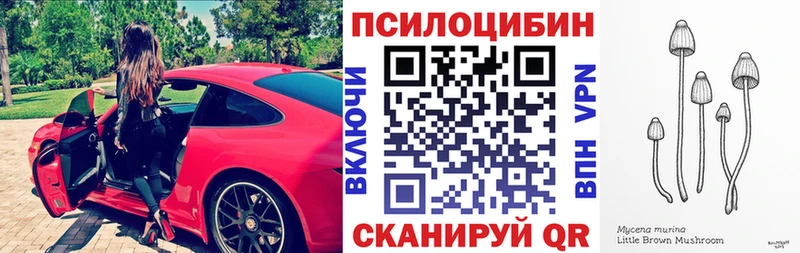 купить наркоту Ленск Псилоцибиновые грибы Cubensis